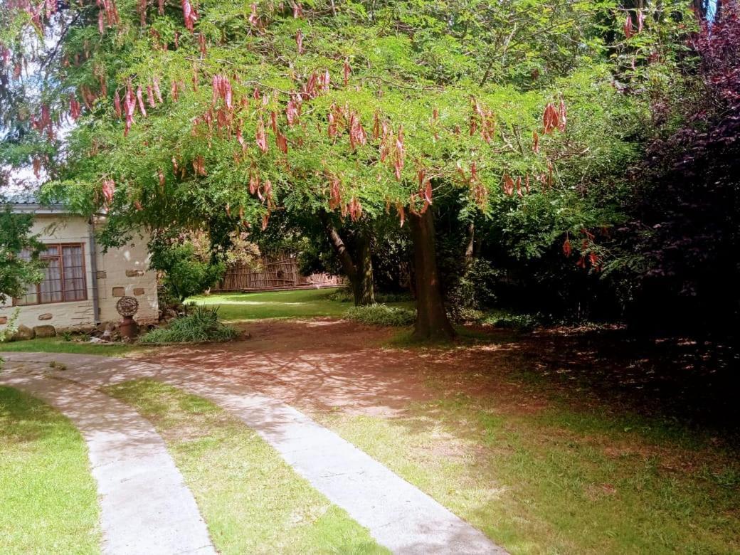Rheola'S Guest Cottage Harrismith Exteriér fotografie